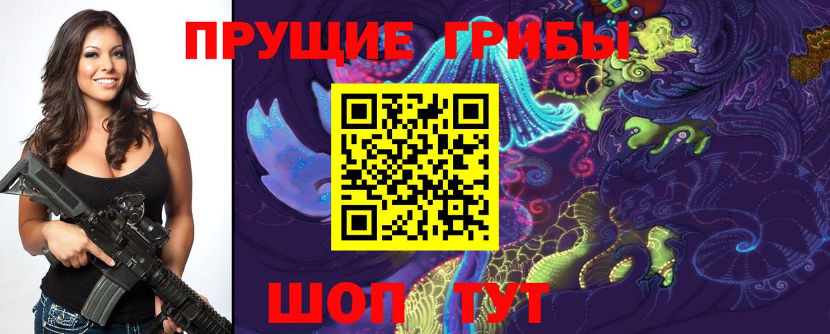 Тара  Псилоцибиновые грибы Cubensis  Псилоцибиновые грибы MAGIC MUSHROOMS  купить  сайты  Вход с VPN 